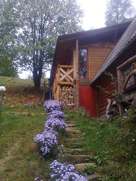 Отель Krutogora Татаров Экстерьер фото